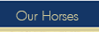 Our Horses