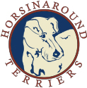 Horsin Around Terriers